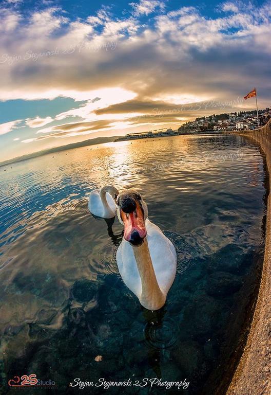 New Studio 70M To The Lake Ohrid Luaran gambar